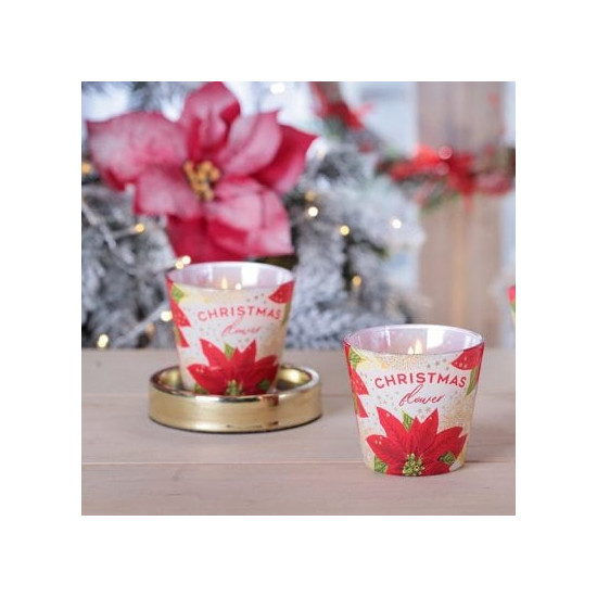 Свічка ароматична "Christmas Flower" Sparkle Gold,  час горіння 30годин, 8см Різнокольоровий Bartek Candles (67232)