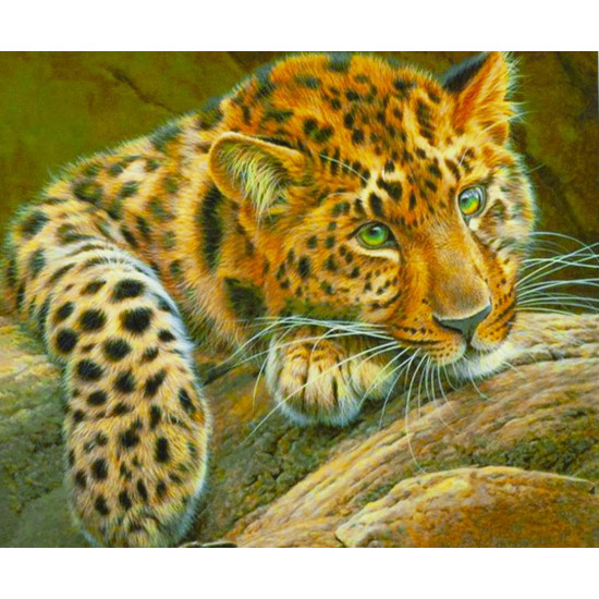 Картина по номерам "Молодой ягуар" 40*50см,крас.-акрил,кисть-3шт. (3280_B)