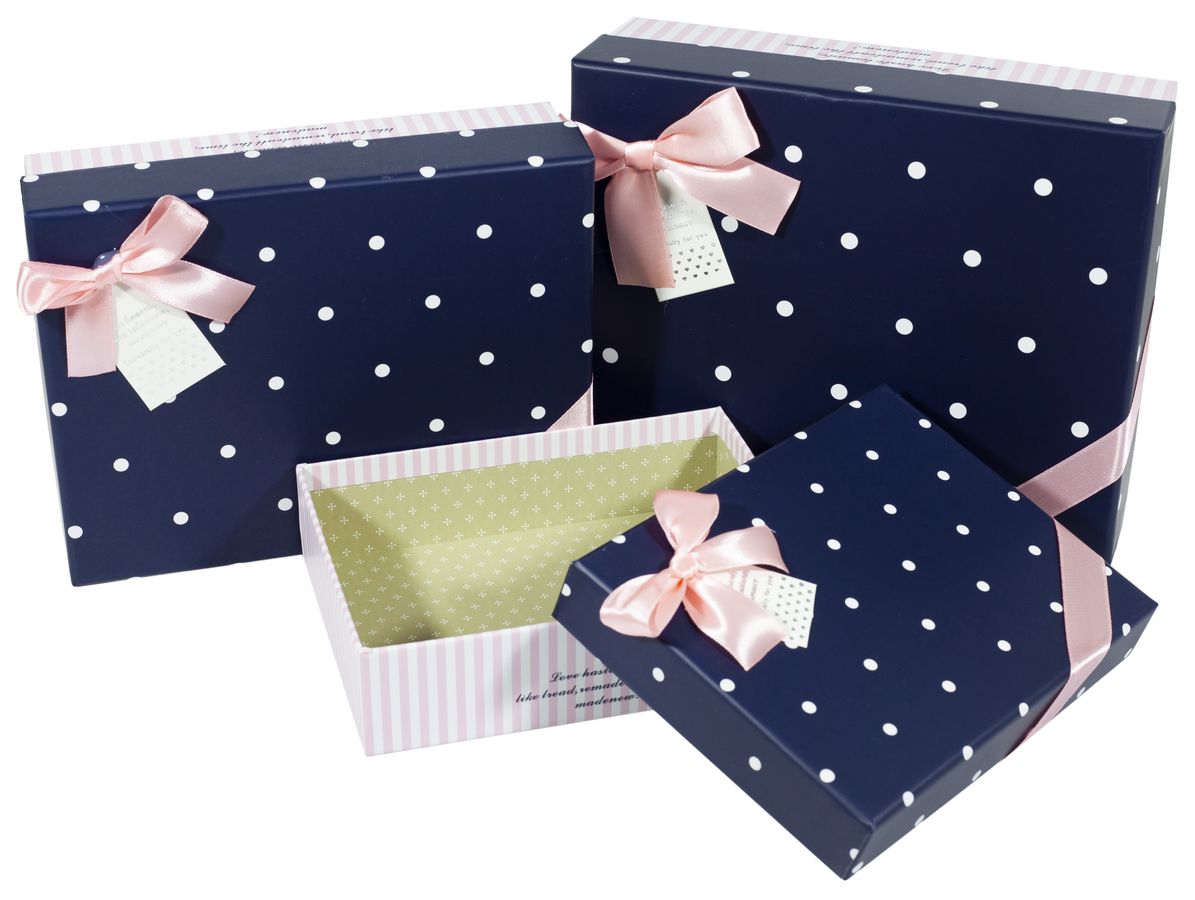 Подарункова коробка C210-28, прямокутна, 24*19*8cm/22*17*6.5 /18.6*14.5*5cm 3шт. в наборі (C210-13)
