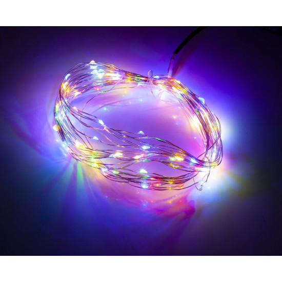 "РОСА" 100 LED 220В +USB, 10м, мульті (1275-01)