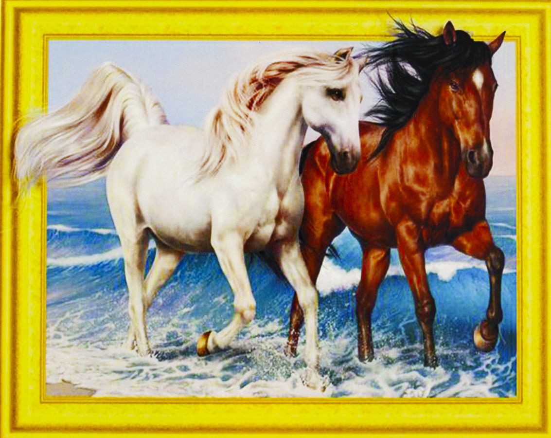 Алмазная мозаика 3D по номерам 40*50см "Пара лошадей на море"027 (027)