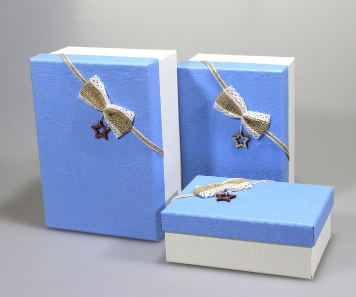 Прямоугольные подарочные коробки Y91301-127T-1 (19.5x13,5x8cm) (Y91301-127T-1 №2)