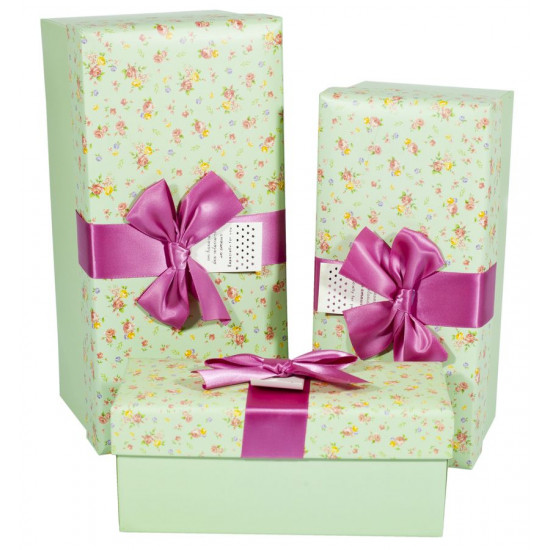 Подарункова коробка CH01-2, прямокутна, 30X14X13.5cm/25.5X12X11.5 /21X9X9cm 3шт. в наборі Зелений Unison (CH01-2)