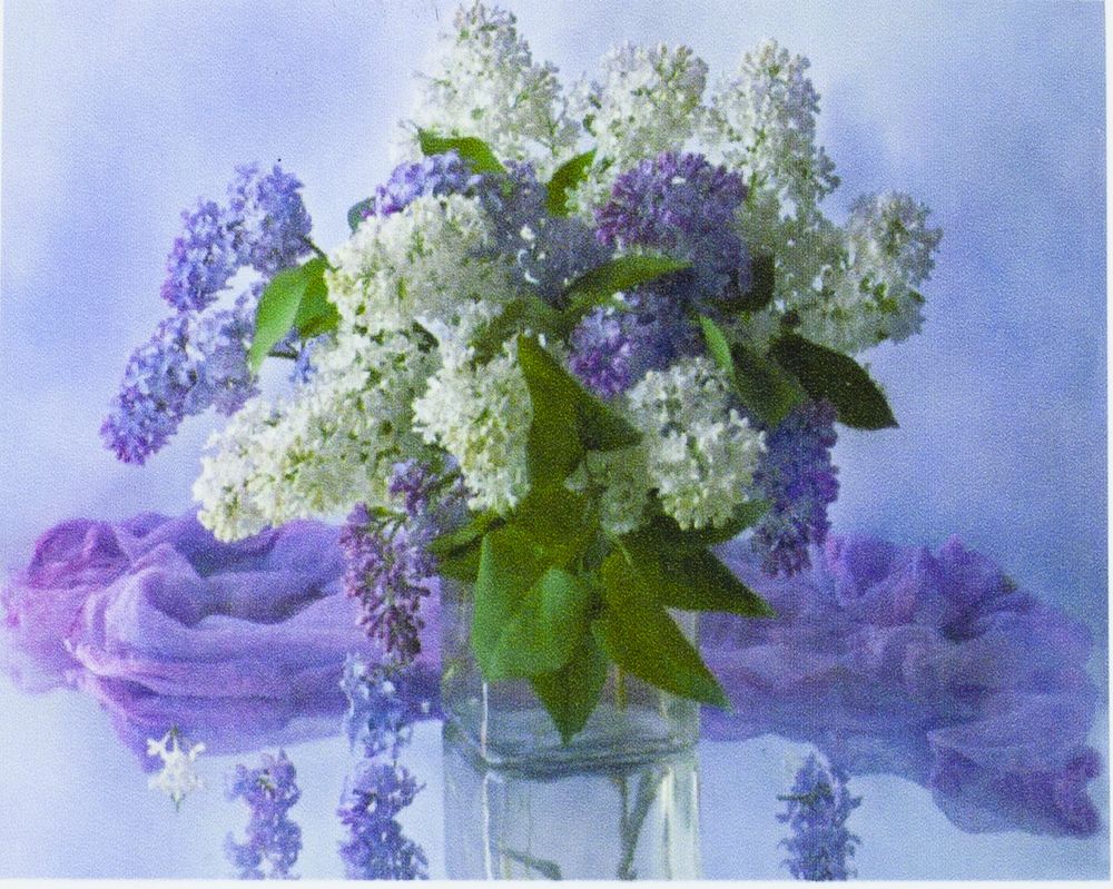 Алмазная мозаика по номерам 30*40см "Букет сирени" в рулоне (70320 GBR)