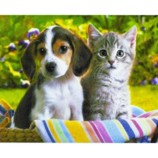 Алмазная мозаика по номерам 30*40см "Щенок и котёнок в корзине" в рулоне (71522 GB)