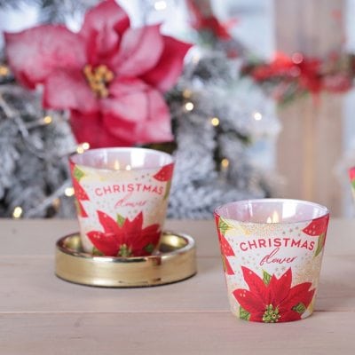 Свеча ароматическая "Christmas Flower" Sparkle Gold- теплый красный Разноцветный Bartek Candles (67232)