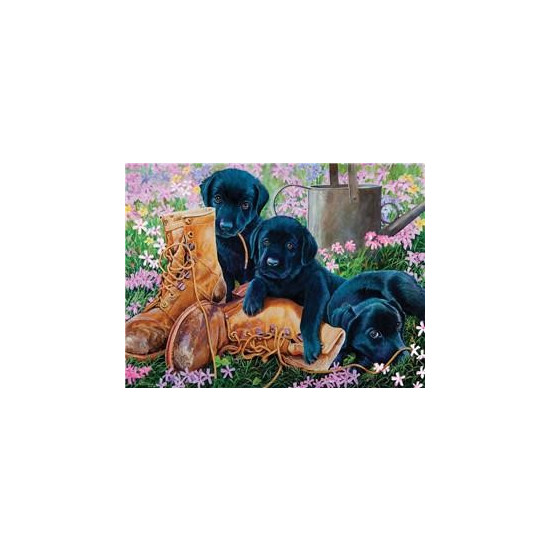 Картина за номерами "Цуценята" 40 * 50см, крас.-акрил, кисть-3шт. (8391)