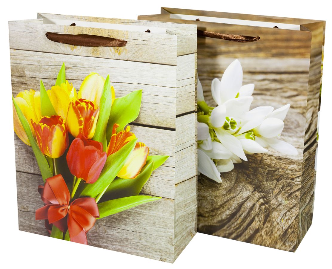Подарочные пакеты DV-BK9272-L, 210g, 31x40x12cm, 4 дизайна (DV-BK9272-L)