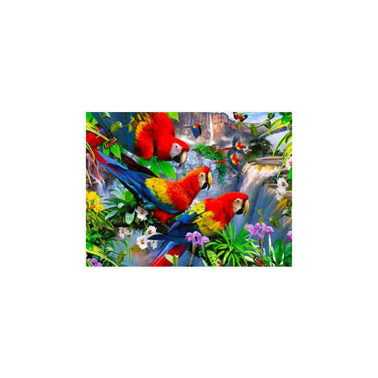 Алмазная мозаика по номерам 40*50см "Попугаи" (GLE71435)