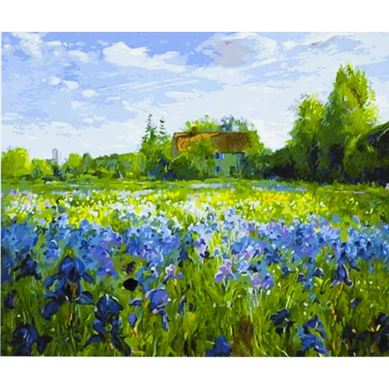 Картина по номерам "Пейзаж" 40*50см,крас.-акрил,кисть-3шт. (9224)