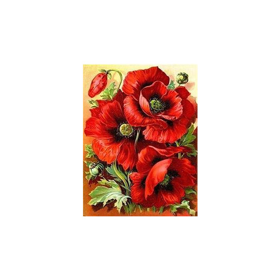 Алмазная мозаика по номерам 30*40см "Мак" (GLD60622)
