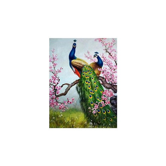 Алмазная мозаика по номерам 30*40см "Павлин" (GLD60607)