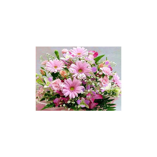 Алмазная мозаика по номерам 40*50см "Розовые герберы" (GLE71529)
