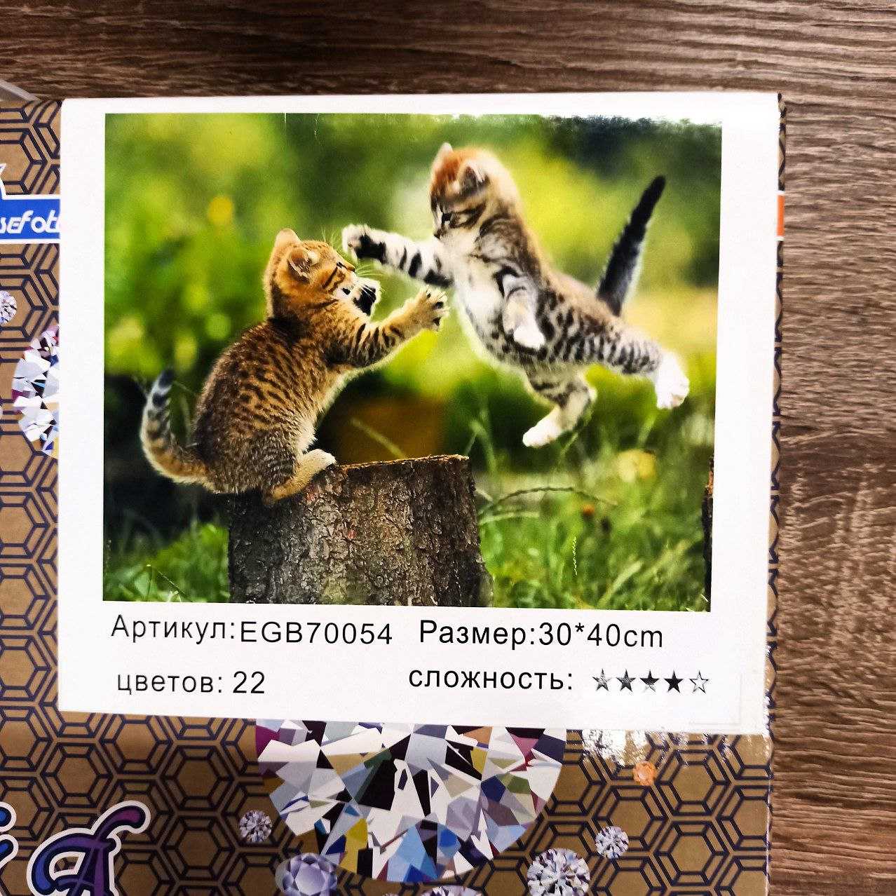 Алмазная мозаика по номерам 30*40см "Игривые котята" карт уп. (холст на раме) (70054GB)