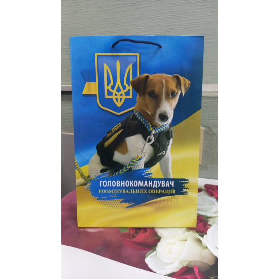 Пакет паперовий 150г великий вертикальний, Патрон, 25х37х8 Жовто-блакитний Unison (PVM253708U-5)