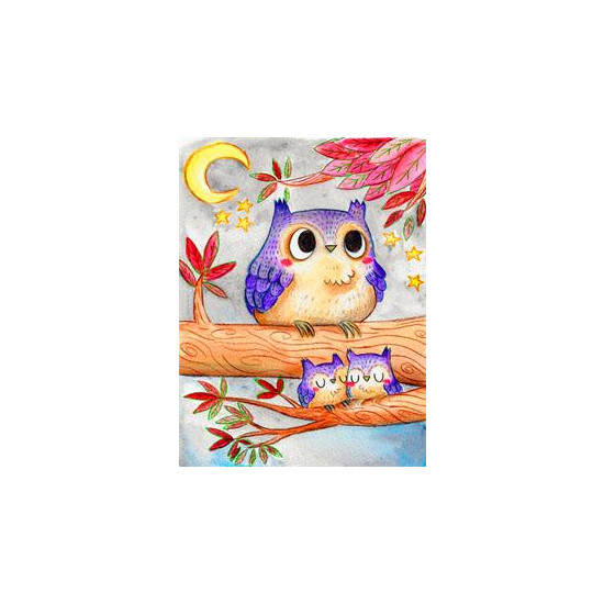 Картина за номерами "мультяшна сова" 40 * 50см, крас.-акрил,пензлик-3шт. (RA30336)