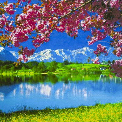 Картина за номерами 40 х 50см "Весна на озері" Різнокольоровий Unison (3307RA_B)