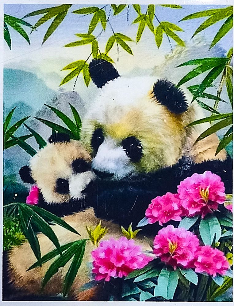 Алмазна мозаїка 30 х 40см "Панди" рулон у PVC (без підрамника) Різнокольоровий Unison (60125_O GLD)