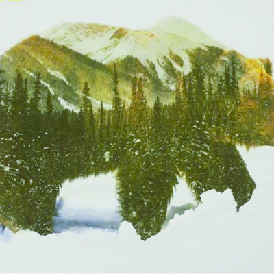 Картина за номерами 40 х 50см "Ведмідь" Різнокольоровий Unison (9408)