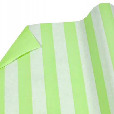 Папір пакувальний крафт-двосторонній 0,66 х 7м Зелений Unison (Пт 853.8)