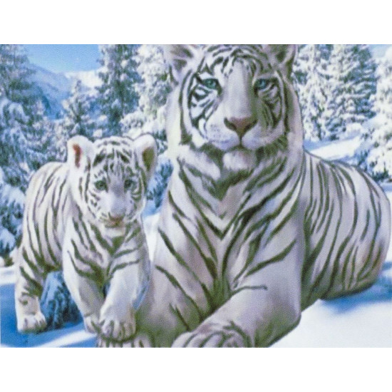 Алмазна мозаїка за номерами 20 * 30см "Білі тигри" в рулоні (20556-JS)