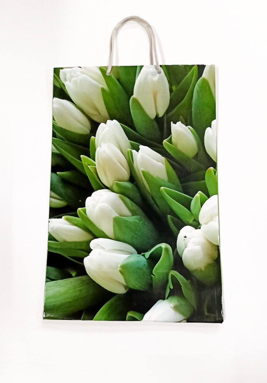 Пакет подарунковий 150гр, 25 х 37 х 8см (12шт/уп) Різнокольоровий Unison (PVM253708W тюльпан)