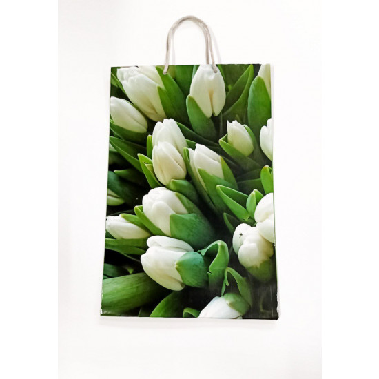 Пакет подарунковий 150гр, 25 х 37 х 8см (12шт/уп) Різнокольоровий Unison (PVM253708W тюльпан)