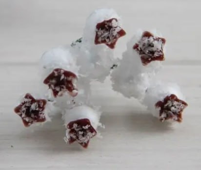 Декоративна гілочка засніженої шипшини, 7-8см Білий Unison (C30202)