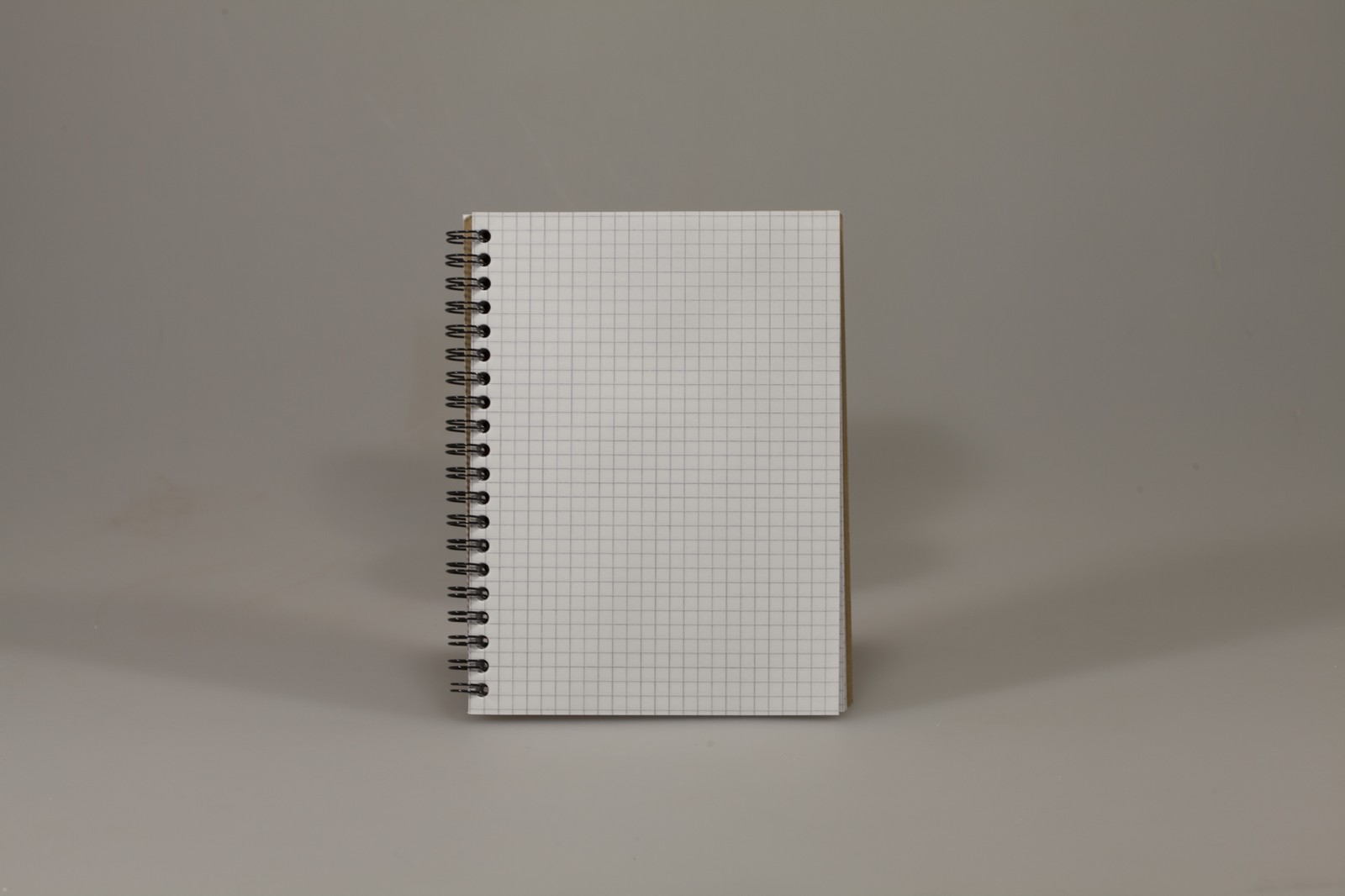 Книжка записна на спіралі KRAFT В6, 96 аркушів клітинка, з перфорацією,  KR6196K (KR6196K)