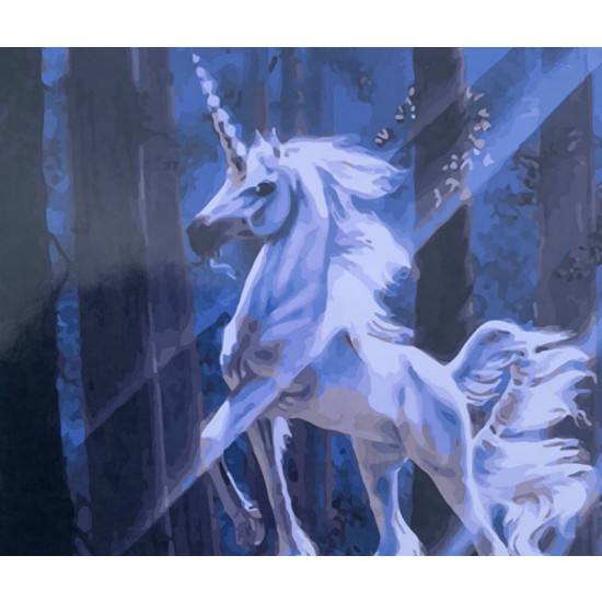 Картина за номерами "Єдиноріг" 40 * 50см, крас.-акрил, пензлик-3шт. (5065RA_B)