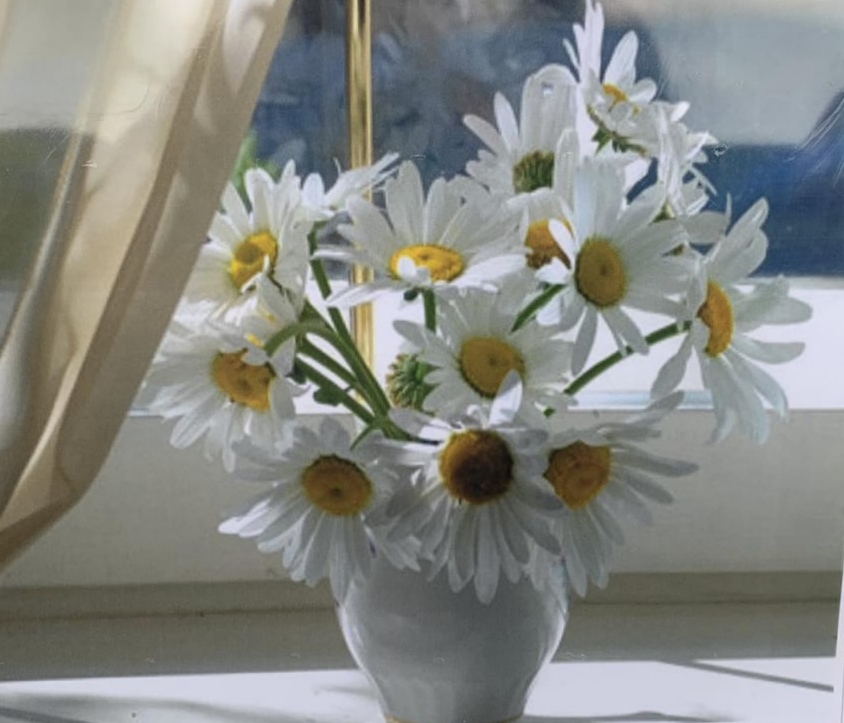 Картина за номерами "Ромашки" 40 * 50см,  OPP , крас.-акрил, кисть-3шт. (5679Y_O)