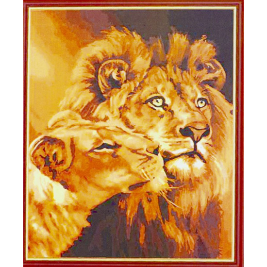 Холст-розмальовка під номерами "Леви" 40х50см, з набором форб і пензликами 2шт, з рамкою. (561RSB_B)