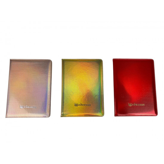 Дневник кож/зам 24 х 17,5см Радужные вертикальные полоски (0025-9)