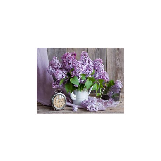 Алмазна мозаїка  за номерами 30*40см "Бузок" карт уп. (Полотно на рамі камені) (GLD60536)