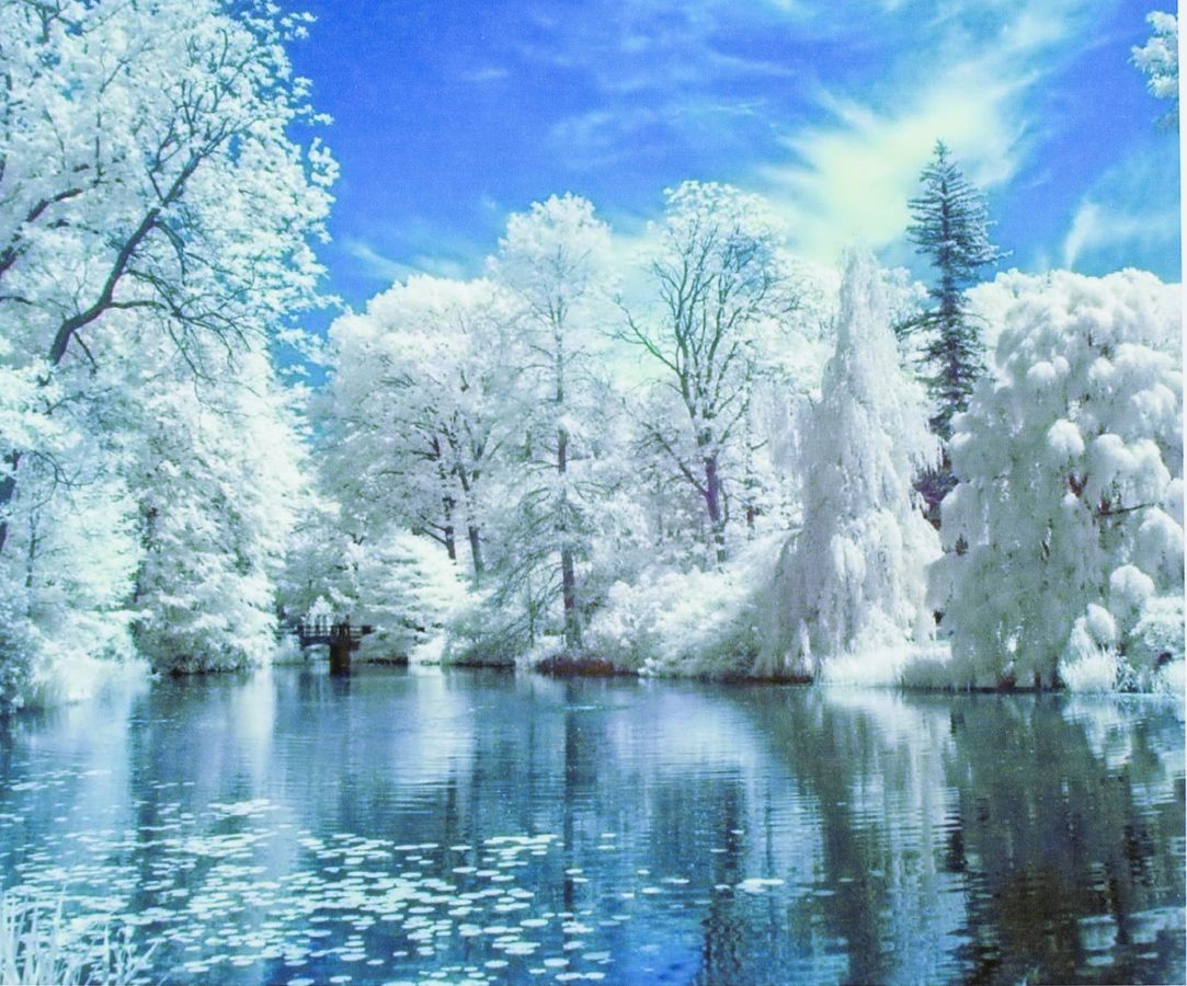 Картина за номерами "Зима" 40 * 50см, крас.-акрил, кисть-3шт. (5229)