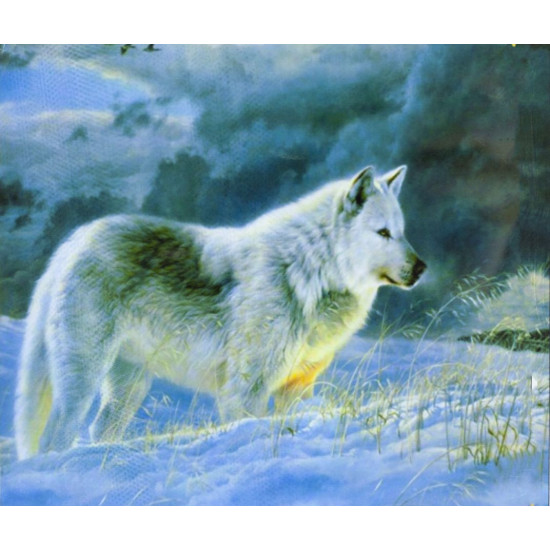 Холст-розмальовка під номерами 40*50см з набором фарб і пензликами 2 шт, з рамкою,  OPP, "Вовк" Різнокольоровий Unison (9396EPH_O)