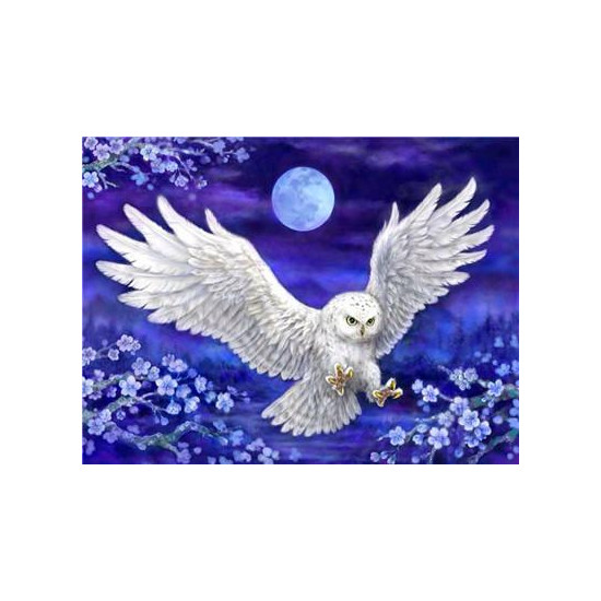 Картина за номерами "Білий пугач"40 * 50см, крас.-акрил, кисть-3шт. (RA3757)