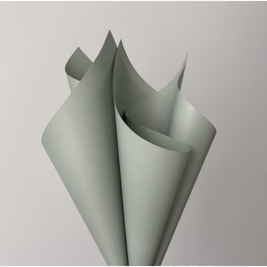 Плівка матова "Моно" 60 мкр, 58 х 58см - 20 листів (j00334 -04/ j00649-085)