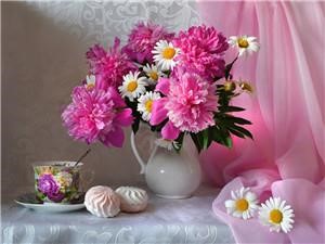 Картина за номерами "Півонії з ромашками"40 * 50см, крас.-акрил, кисть-3шт. (1 * 5) (8177)