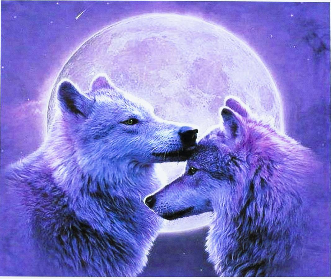 Картина за номерами "Милі вовченята" 40 * 50см, крас.-акрил, кисть-3шт. (5268)