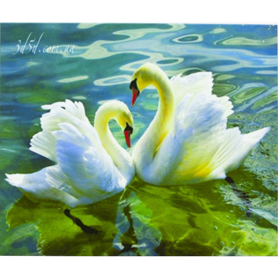 Картина за номерами "Лебеді на озері" 40 * 50см, крас.-акрил, кисть-3шт. (5444)