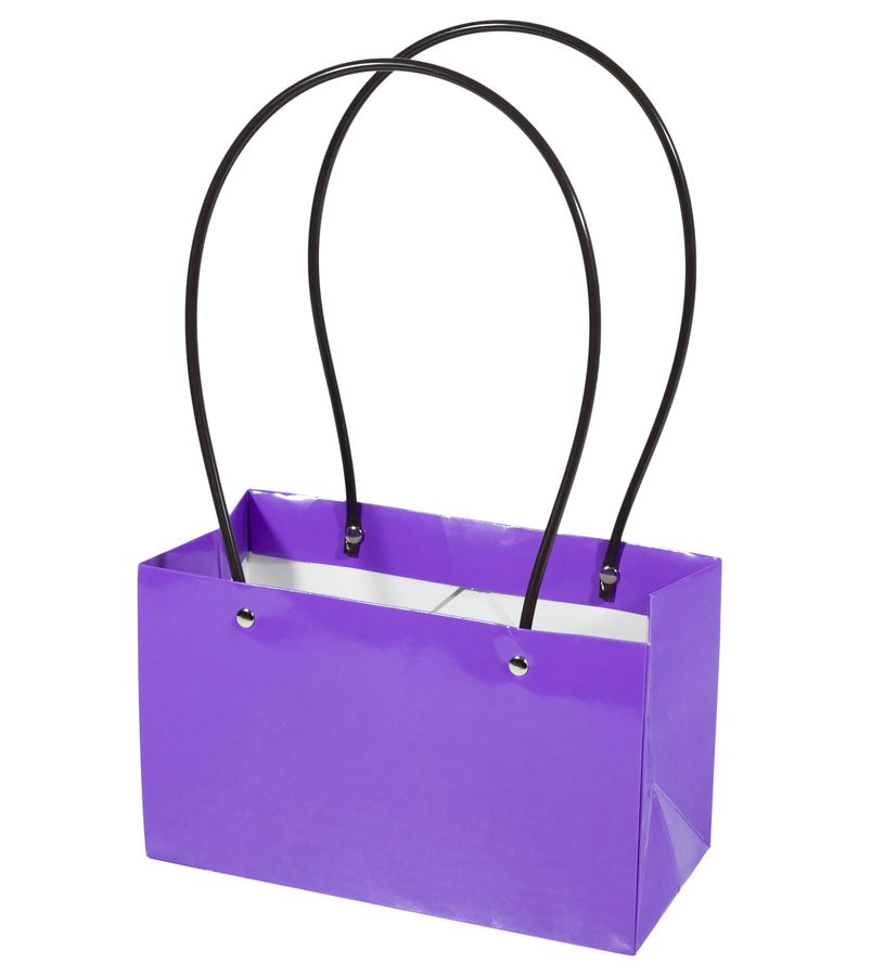 Подарункові пакети-сумки, ручка пластик, 22х13х9см, Violet (BCD221309 -Violet)