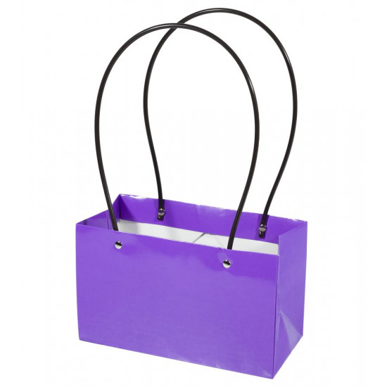 Подарункові пакети-сумки, ручка пластик, 22х13х9см, Violet (BCD221309 -Violet)