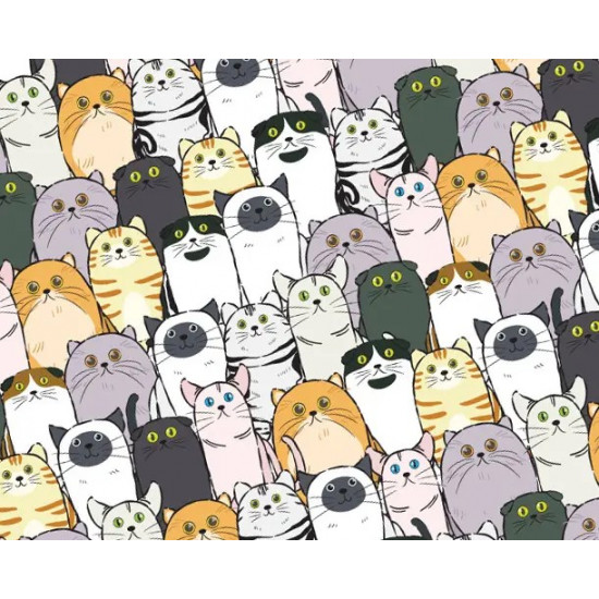 Папір для пакування подарунків 10 листів - 100 х 70см 50г (PCZ10070-10-616)