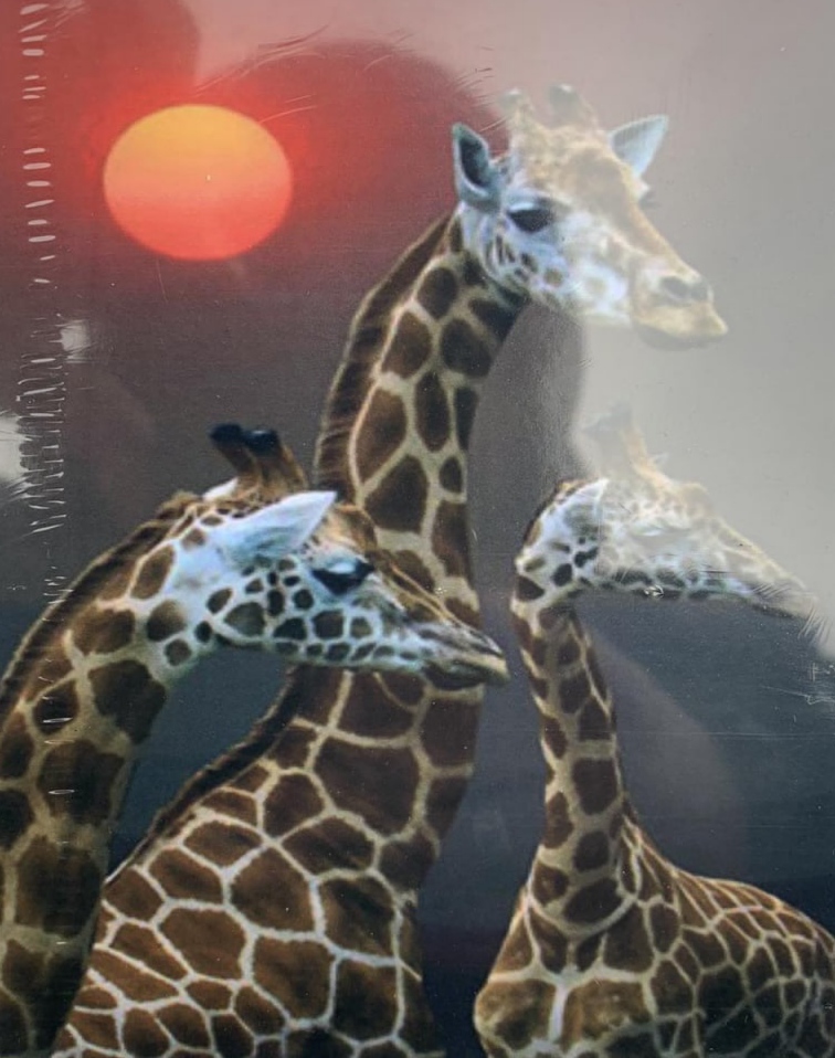 Картина за номерами 30*40см "Жираф" OPP (полотно на рамі фарб. пензля.) 1695EKTL_O Різнокольоровий Unison (1695EKTL_O)