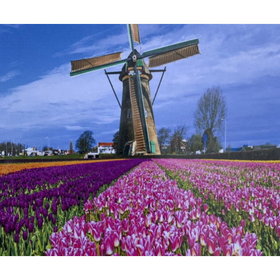 Картина по номерам 40 х 50см "Мельница" Разноцветный Unison (5730Y_B)