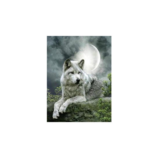 Алмазна мозаїка  за номерами 30 х 40см "Вовк"  (Полотно на рамі камені) Різнокольоровий Unison (GLD60523)