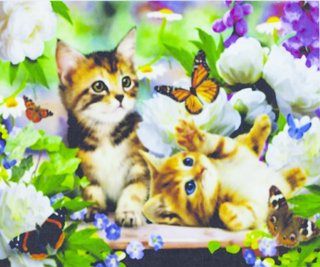 Картина за номерами "Кошенята і метелики" 40 * 50см, крас.-акрил, пензлик-3шт. (1238)