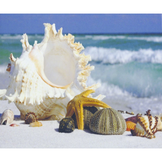 Картина за номерами "Мушлі" 40 * 50см, крас.-акрил, пензлик-3шт. (1240)