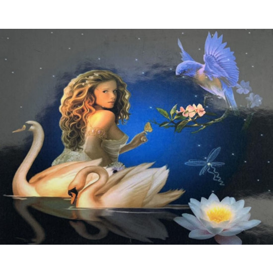 Алмазна мозаїка за номерами 30*40см "Дівчина з лебедями" карт уп. (полотно на рамі) (71167GB)